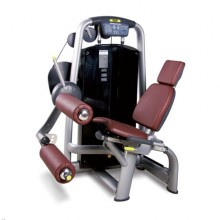 EXE-16坐式屈腿训练器